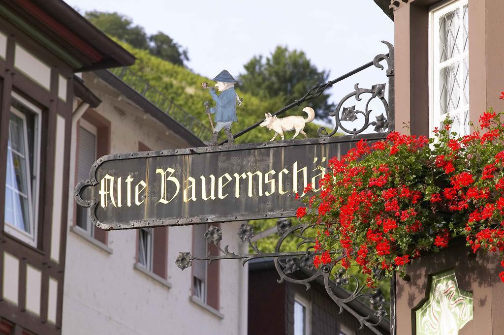 Akzent Hotel Berg'S Alte Bauernschaenke- Wellness Und Wein Ruedesheim am Rhein Ngoại thất bức ảnh